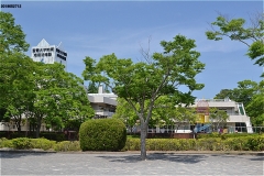 郷部公園。むこうは、聖徳大学附属成田幼稚園