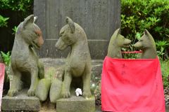 115-赤羽八幡神社の夫婦狐