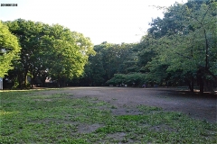 林試の森公園 芝生広場
