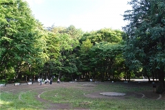 林試の森公園 出合いの広場