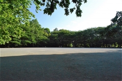 林試の森公園 大きな広場