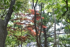 橋賀台公園