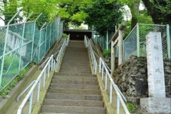 115-稲付城跡の階段
