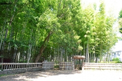 竹林公園・正門