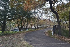 野川公園：東八道路をまたぐ一之橋