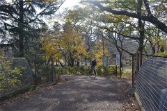 野川公園：東八道路をまたいで、南側区画へ