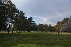野川公園：自由広場