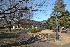 507-埼玉県営和光樹林公園